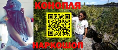 гидра Кандалакша