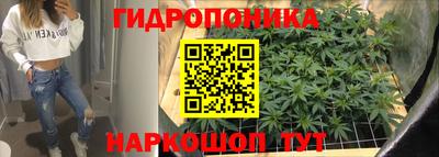 гидра Кандалакша