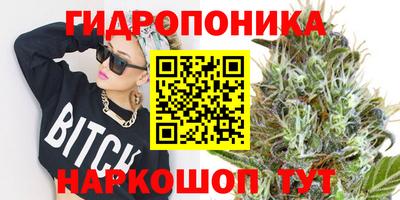 герыч Кингисепп