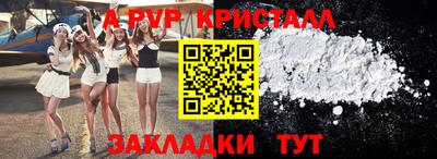 спиды Кимры