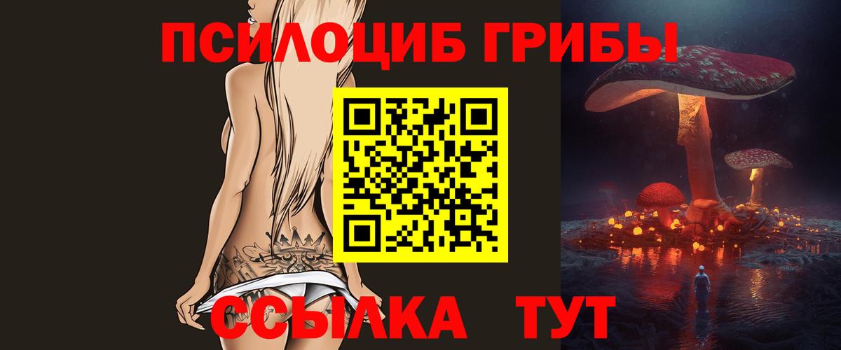 Галлюциногенные грибы Psilocybine cubensis  Псилоцибиновые грибы Psilocybe  Вход с VPN  Карабулак 